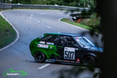 MickhausenRF25-31016_4506